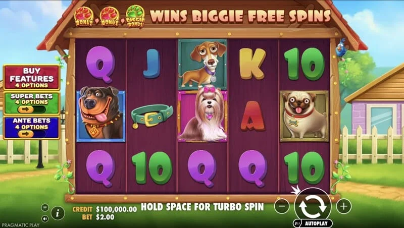 The Big Dog House - tela principal com os rolos